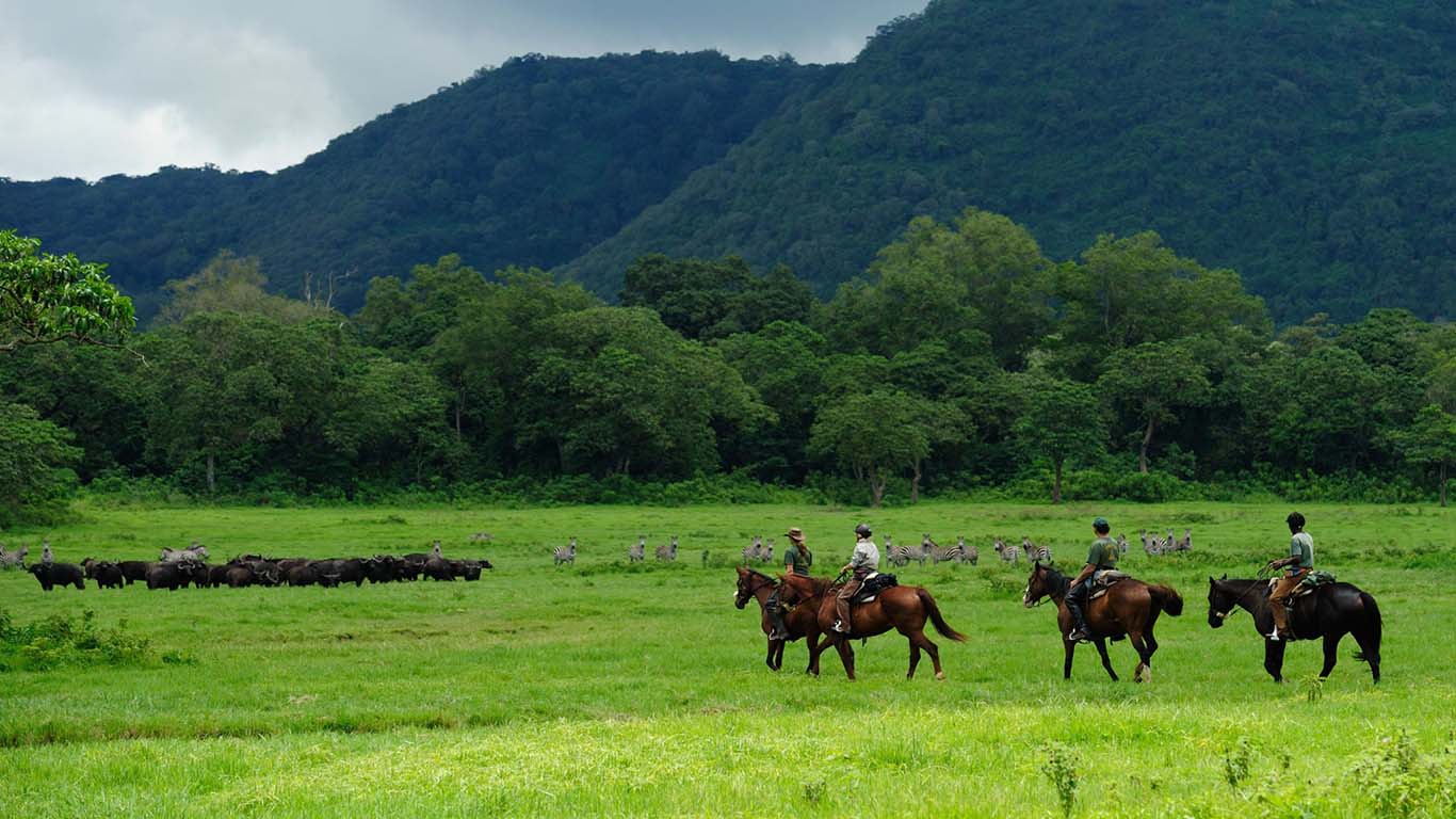 Arusha National Park