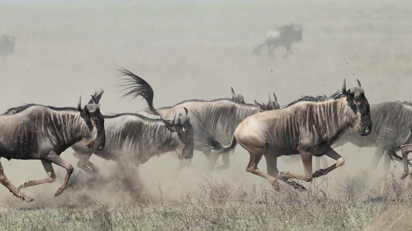 Serengeti National Park